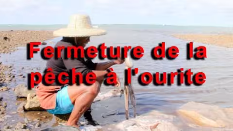 À Rodrigues : fermeture de la pêche à l’ourite à partir du 28 janvier