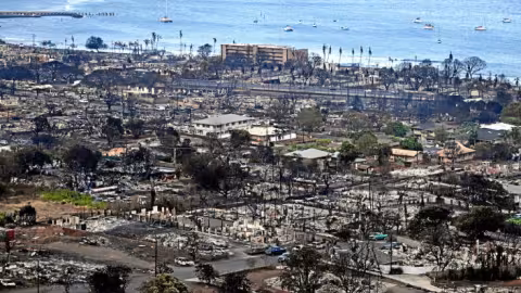 Hawaï : le bilan humain des incendies dépasse les 100 morts