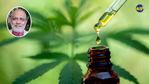 Santé : Dev Virahsawmy milite pour la libéralisation de l’huile de cannabis médicale