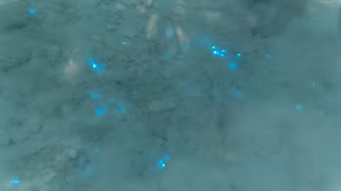 De la neige bleue scintillante découverte aux confins de l’Arctique