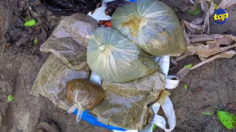À l’île aux Bénitiers : plusieurs kilos d’héroïne et de haschisch saisis