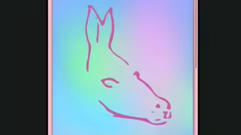 Quel animal voyez vous sur cette image ? Cette illusion d’optique rend tout le monde dingue !