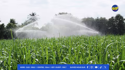 irrigation de la canne à-sucre