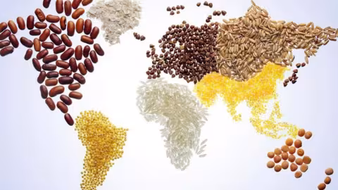 Journée mondiale de l’alimentation