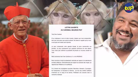 Dans une lettre ouverte adressée au cardinal Maurice Piat : « Que nos singes ne soient pas exterminés comme le fut notre Dodo » lance Linley Moothien qui demande au prélat « de convier la grande famille de l’Église catholique à la grande marche du 29 juillet à Port-Louis »
