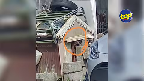 Un chien enfermé jour et nuit à Curepipe dans des conditions atroces : il est grand temps que les autorités mettent en place une Police des animaux , regrette le secouriste Sameer Golam
