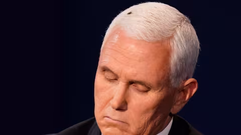 Une mouche fait mouche lors du débat entre la sénatrice Kamala Harris et le vice-président Mike Pence