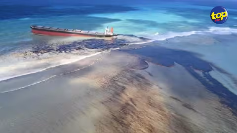 Naufrage du MV Wakashio : Le Conseil des ministres a pris note des retombées du Special Call for Proposals for Restoration