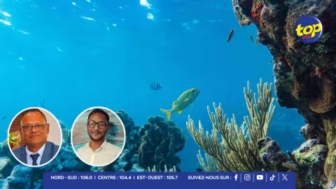 ocean