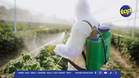 Pesticides et santé dans ‘Korek Pas Korek’ : « Nu bizin fer ban suivi individuel sak planteur », lance Kreepalloo Sunghoon