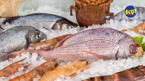 Eventuelle pénurie de poissons surgelés en hiver : Le ministère de la Pêche autorise l’importation de 400 tonnes de poissons