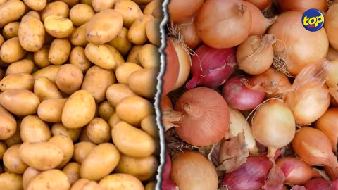 Pomme de terre et oignion : L’Agricultural Marketing Board devient le seul importateur pour l’année 2021