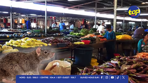Insalubrité au cœur du marché de Curepipe : « Nou pa gagn delo, tou lé zour lé rat », dénoncent les marchands 