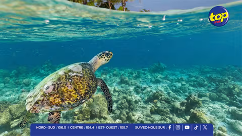 Tourisme, énergie verte, biodiversité : Maurice et La Réunion unissent leurs forces