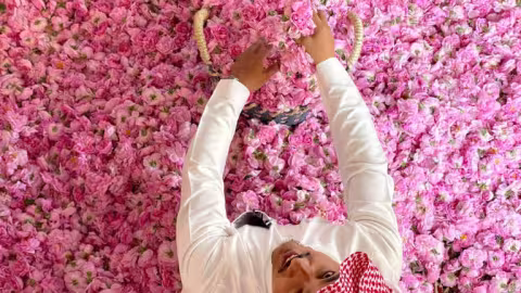 La ville des roses d’Arabie saoudite en fleurs