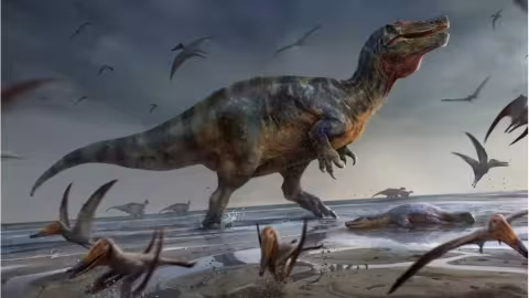 Un super-prédateur gigantesque découvert sur l’île de Wight