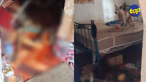 À Plaine Magnien ce mercredi : des restes humains retrouvés dans une maison