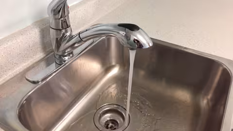 Texas : des eaux infestées par une amibe « mangeuse de cerveaux »