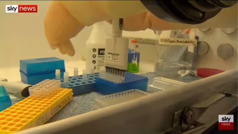 Trois nouveaux pays touchés par la nouvelle mutation du coronavirus détectée au Royaume-Uni